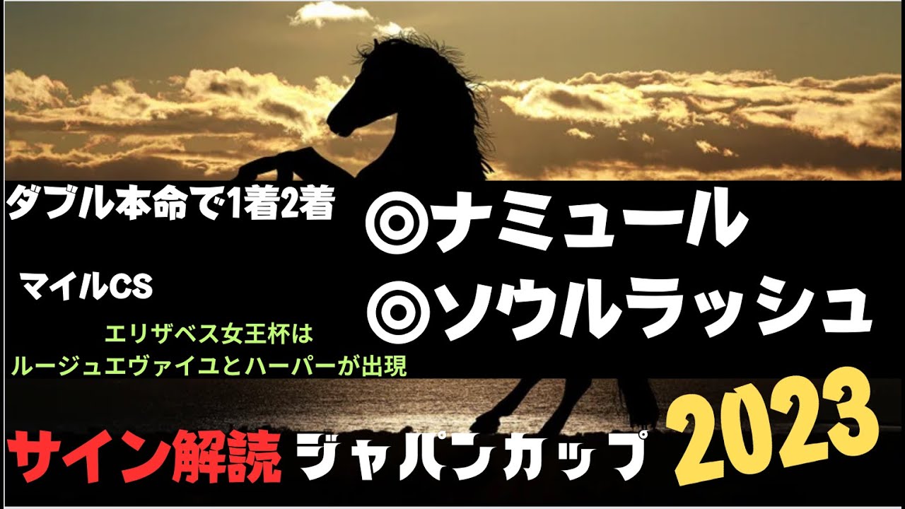 ジャパンカップ2023の競馬予想。今週のサイン解読パート1。見えちまったぜ。