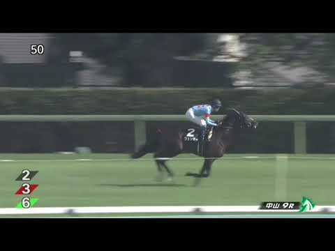 【アスター賞】キャットファイト快勝！！レコード勝ち❗#阪神ジュベナイルF