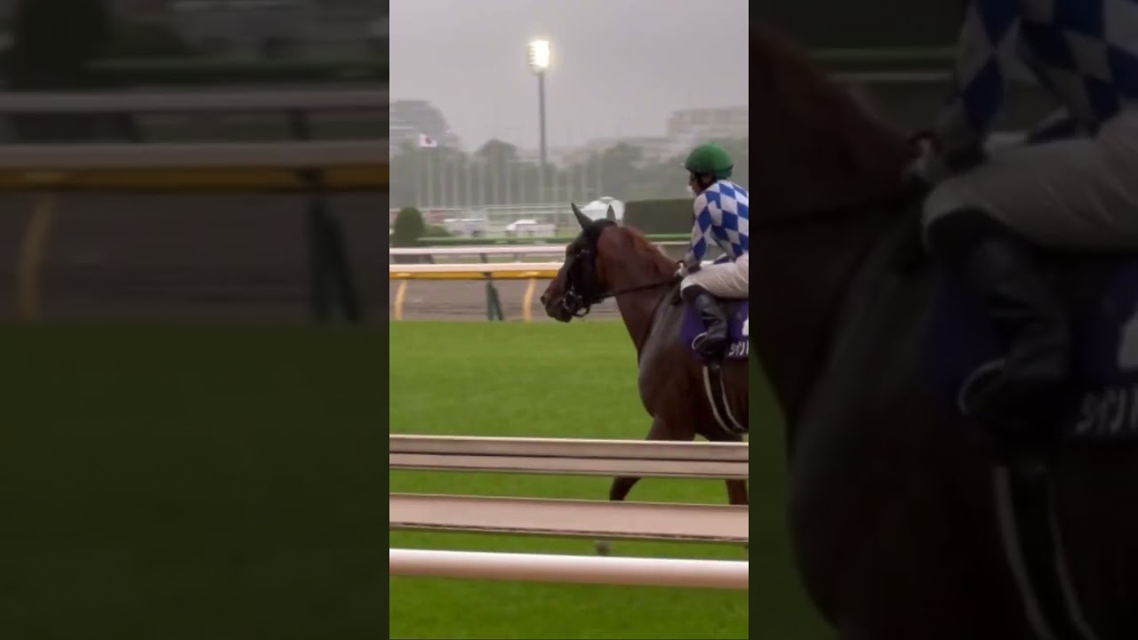 【2023/NHKマイルカップ】シャンパンカラー号 内田博幸騎手 ウイニングラン