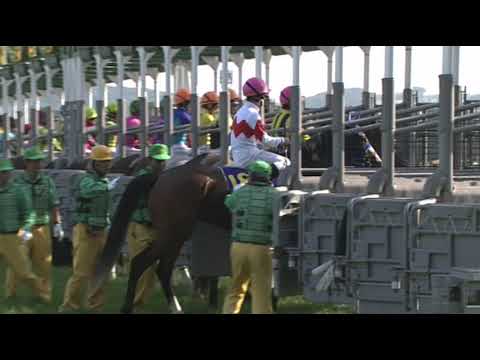 カワカミプリンセス 2006年 第67回優駿牝馬(オークス)(GI) (優勝馬：カワカミプリンセス)