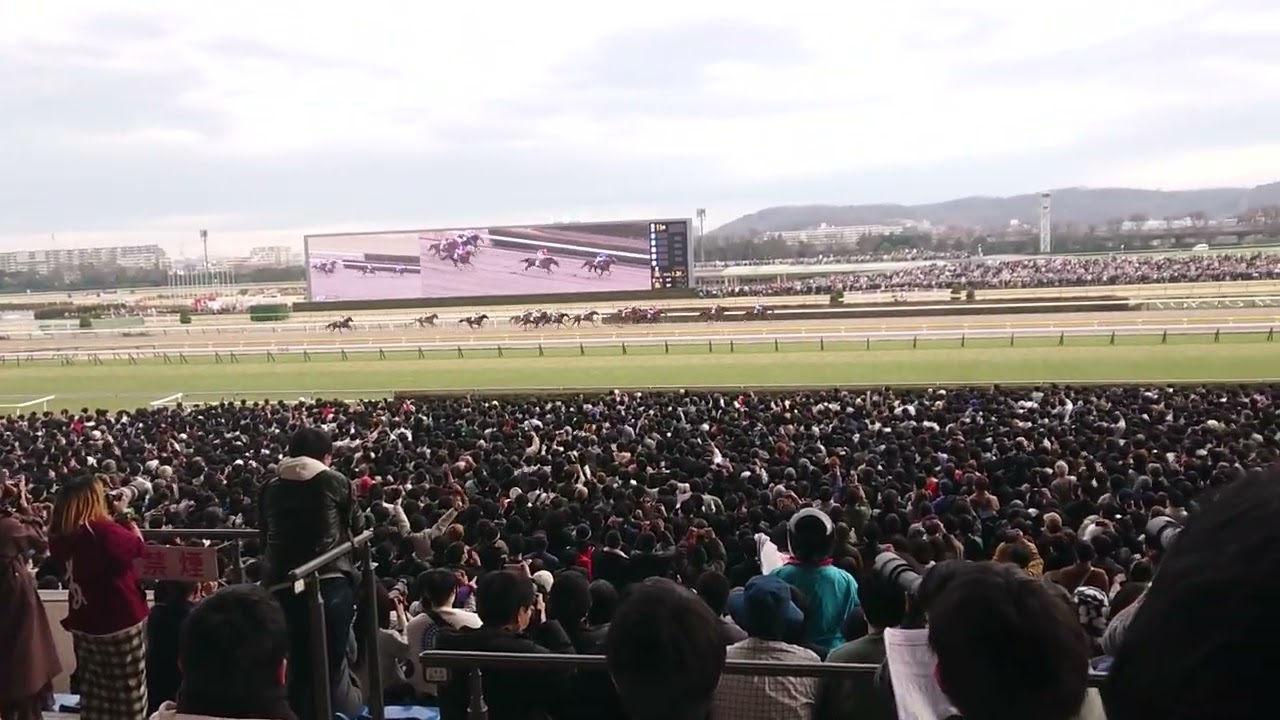 フェブラリーステークス