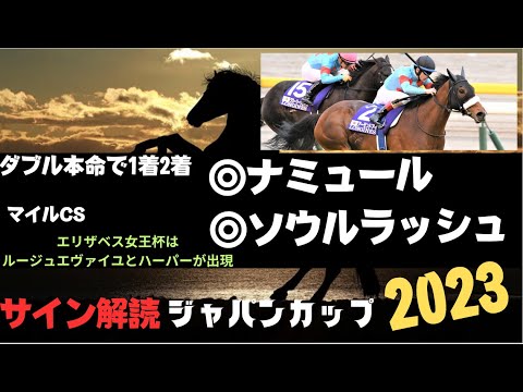 ジャパンカップ2023の競馬予想。サイン解読PART3 アーモンドアイが出しているヒントの解説。最終見解は土曜日配信。