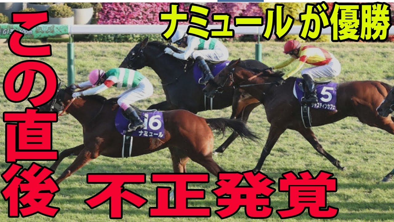 【マイルCS】ナミュールのG1初制覇に批判殺到‼️許せない🔥 落馬負傷ムーアの代打・藤岡康が衝撃的な一言を放つ… 【マイルチャンピオンシップ GI】
