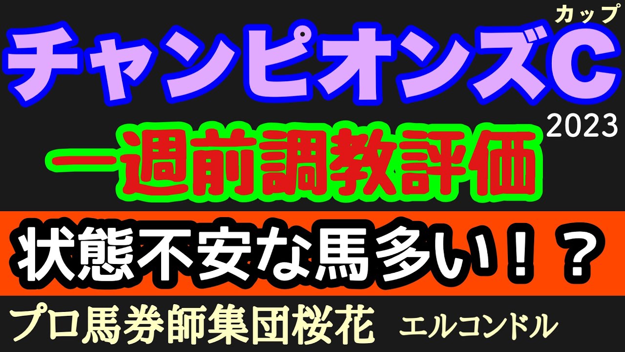 プロ馬券師集団桜花エルコンドル氏のチャンピオンズカップ2023一週前調教評価！！来週はダートのチャンピオンを決める一戦！各馬一週前の状態は！しかし今回は不安な動きの馬が多い！？