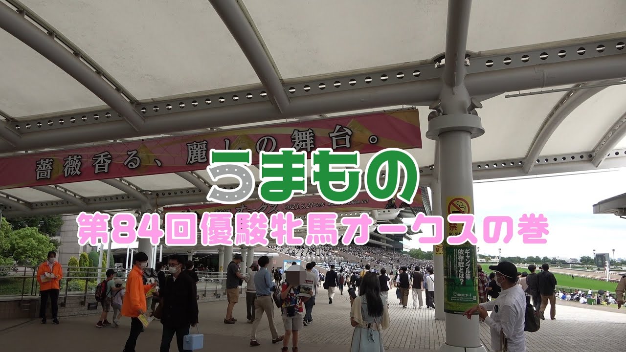 うまもの 第84回優駿牝馬オークスの巻