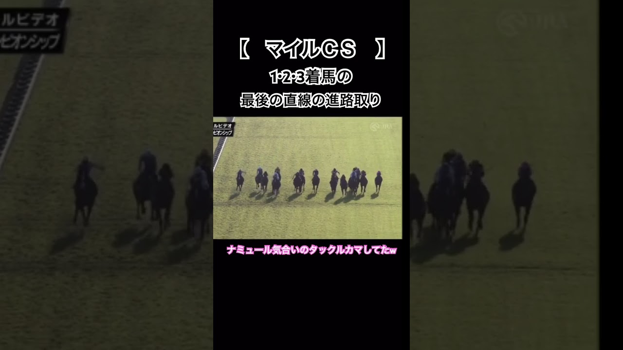 【マイルCS 2023】各馬の最後の直線の位置取り！ #shorts #ナミュール #マイルチャンピオンシップ