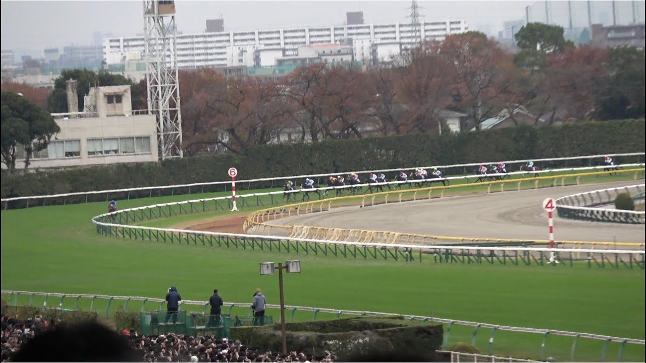 【ジャパンカップ2023】パンサラッサの大逃げにどよめく現地の様子 イクイノックスは4馬身差の圧勝！【レース映像】