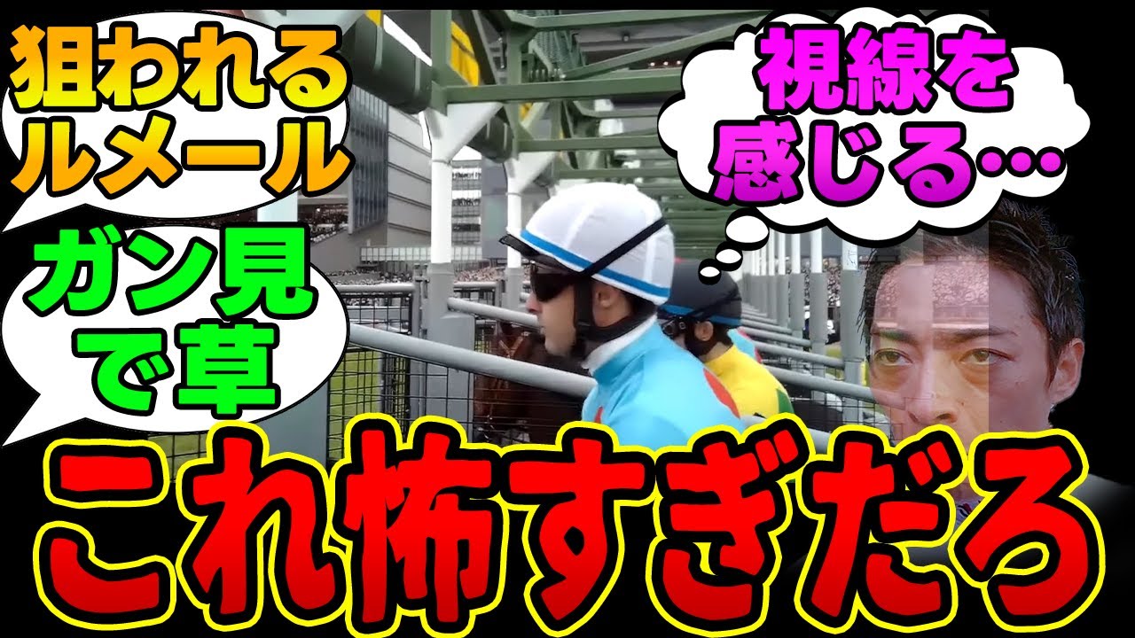 ジャパンCのジョッキーカメラが公開されるも映像がヤバすぎて困惑する競馬民の反応集