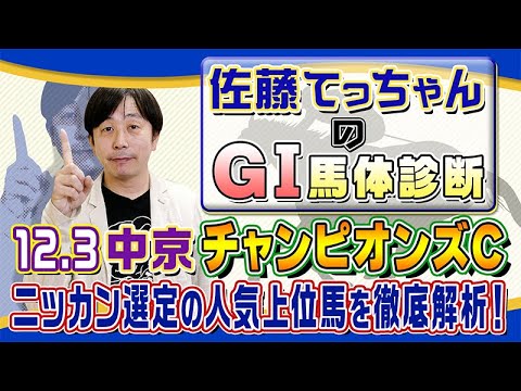 【2023年 チャンピオンズＣ】ダート王決定戦／佐藤てっちゃんのＧⅠ馬体診断