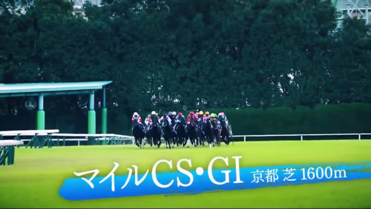2023年｜第40回 マイルチャンピオンシップ・GⅠ｜ナミュール