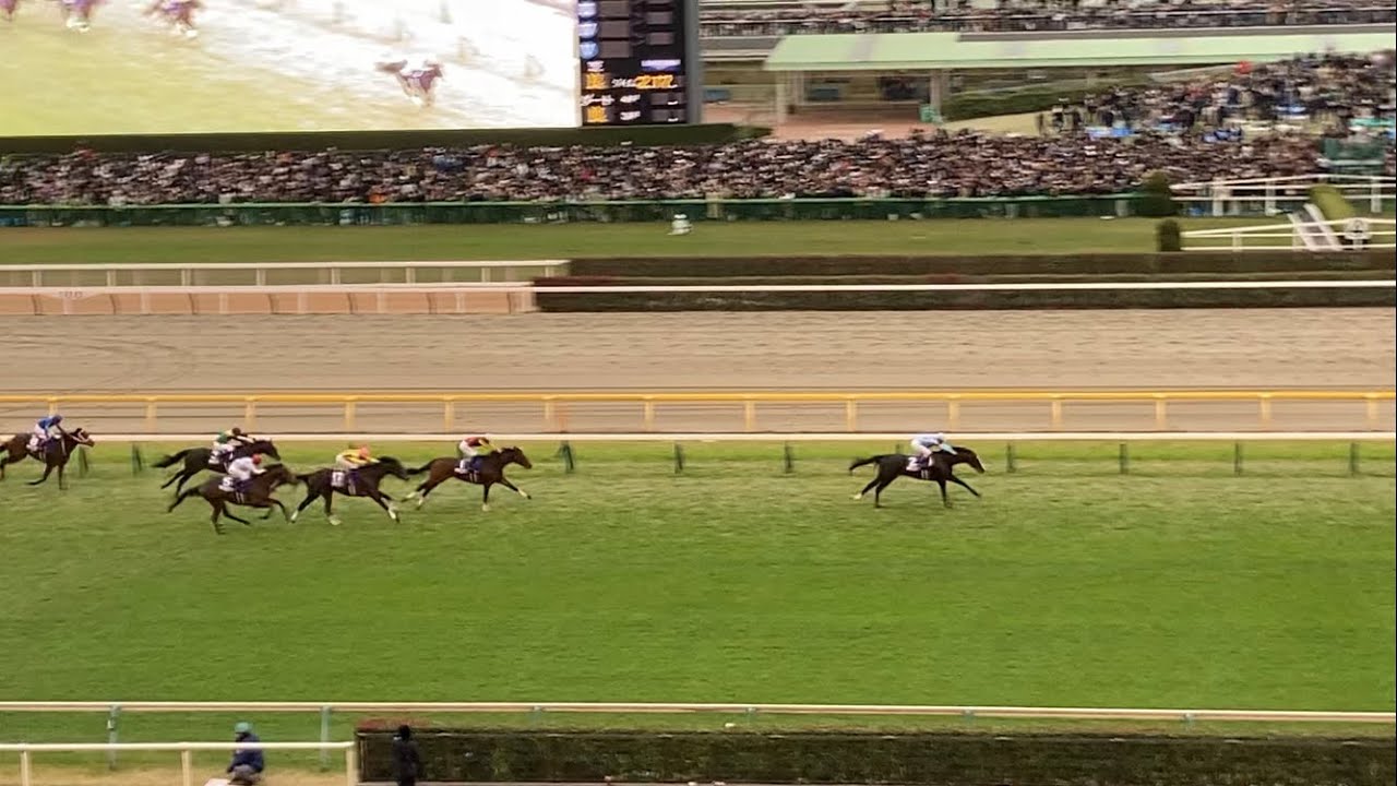 【現地映像】イクイノックス圧巻…！！世界最強の実力を見せつける…！！！【ジャパンC】