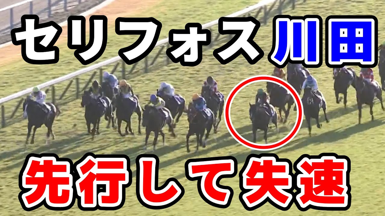 【マイルCS】セリフォス川田将雅の騎乗について