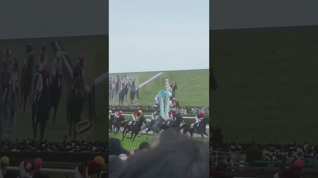 安田記念2023 ソングライン ゴールの瞬間 #競馬