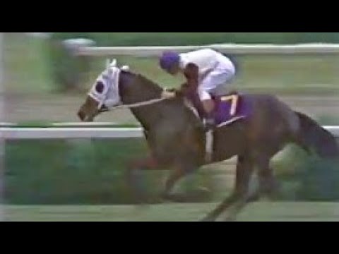 第３３回　皐月賞　ハイセイコー　牡３　57　増沢末夫　1973.4.15　　出走馬：カネイコマ、ホウシュウエイト、イチフジイサミ、シャダイオー、ベルロイヤル、カミノテシオ、スピードリッチ他