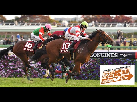１１月１週　11/1　【枠連投資馬券塾】#レース展望　#京王杯２歳Ｓ　新種牡馬産駒を勝たせたい動き