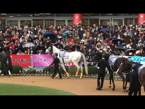 2018年中山大障害　パドック2