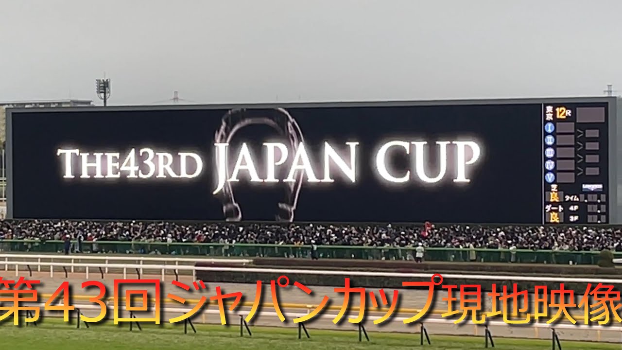 【現地映像】ジャパンカップ2023　レース前からウイニングランまでノーカット