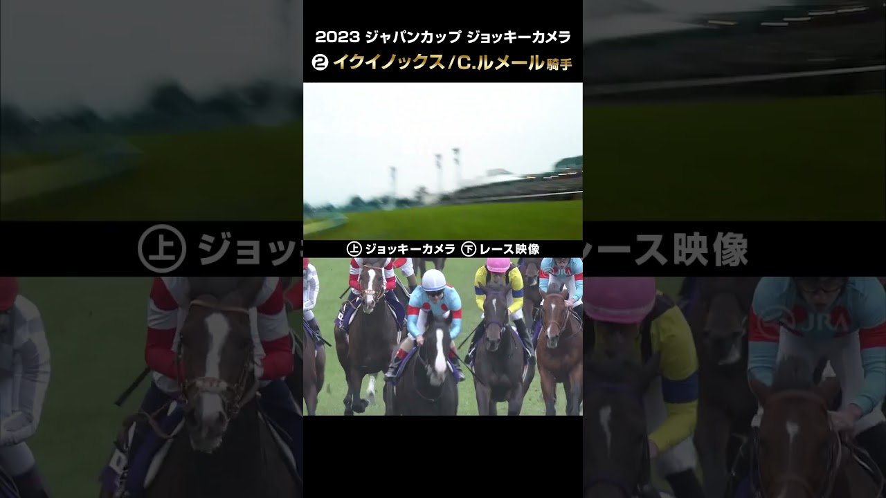 【ジョッキーカメラ×レース映像】2023年ジャパンカップ イクイノックス C.ルメール騎手 #shorts ｜JRA公式