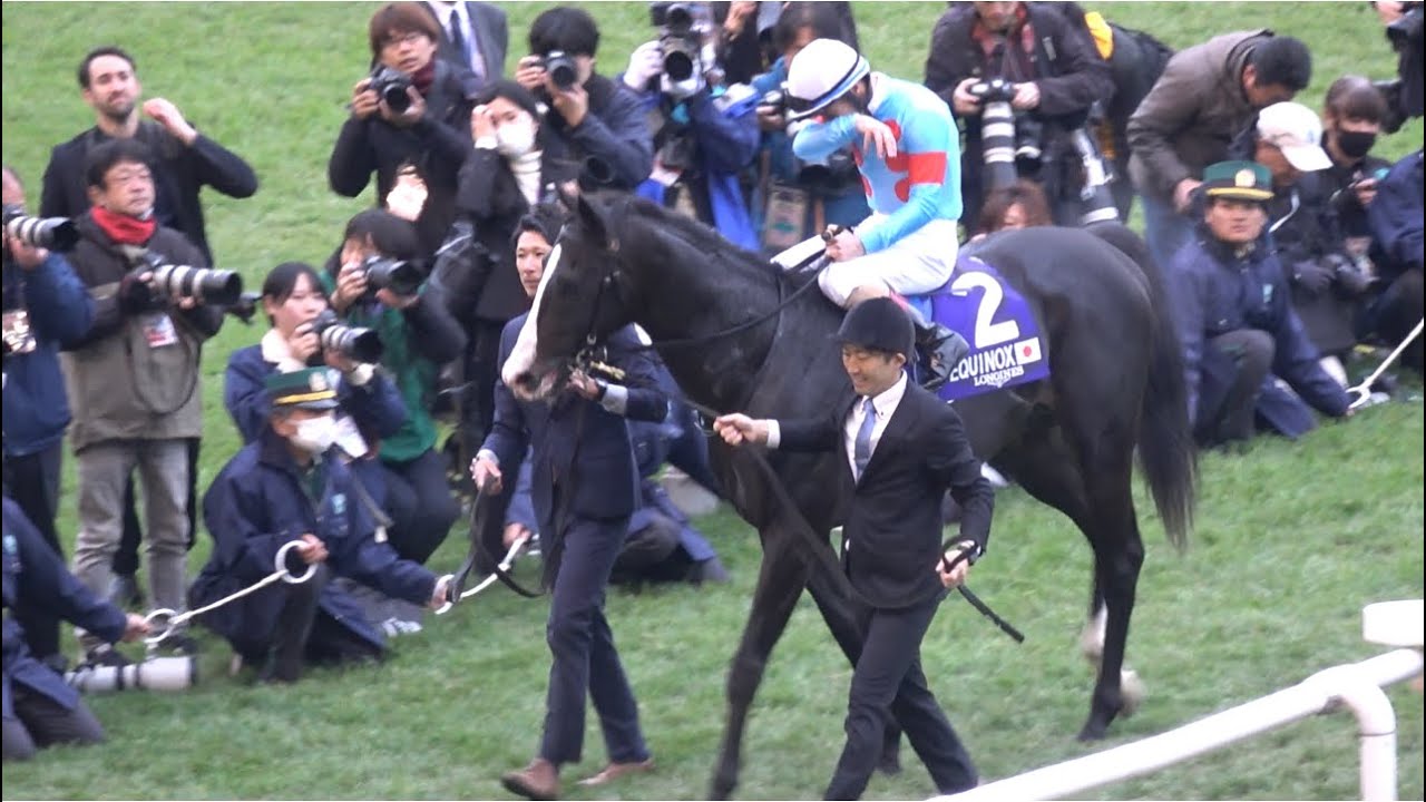 【ジャパンカップ2023】ルメール感涙のウイニングラン イクイノックス【現地】