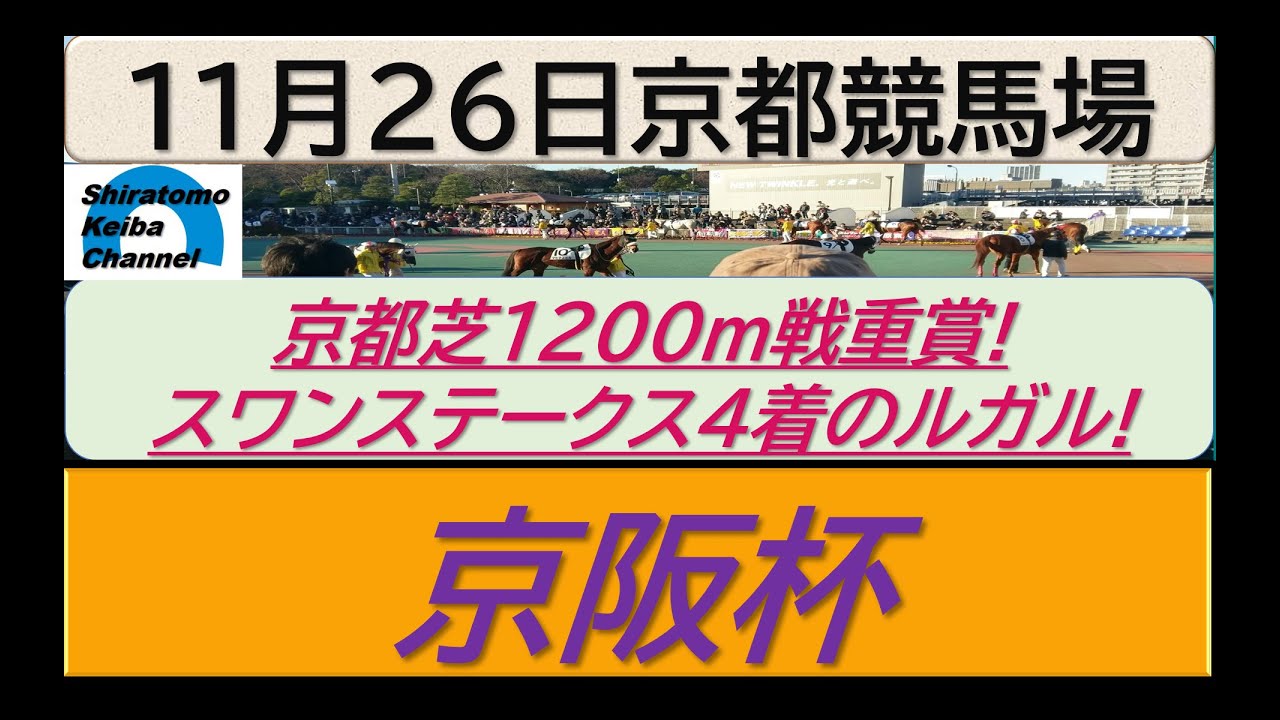 【競馬予想】GⅢ京阪杯　穴馬から勝負！～２０２３年１１月２６日 京都競馬場 ：１１－４４