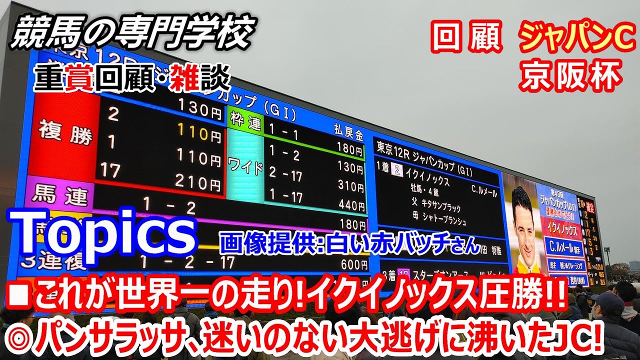 【ジャパンカップ2023 京阪杯2023】回顧･雑談 最高のジャパンカップでした