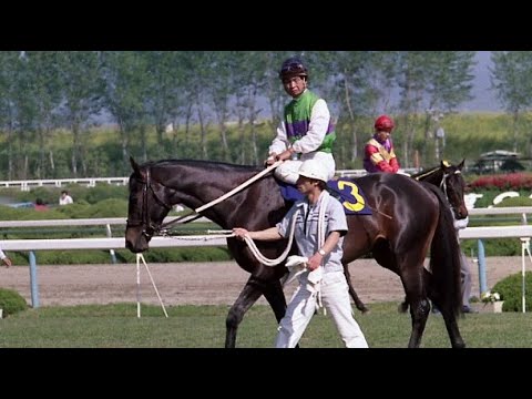 第９３回　天皇賞（春）（ＧⅠ）　クシロキング　牡４　58　岡部幸雄　1986.4.29　　出走馬：メジロトーマス、フリートホープ、ハクリョウベル 、シャイニングルビー、スダホーク他　実況：杉本清