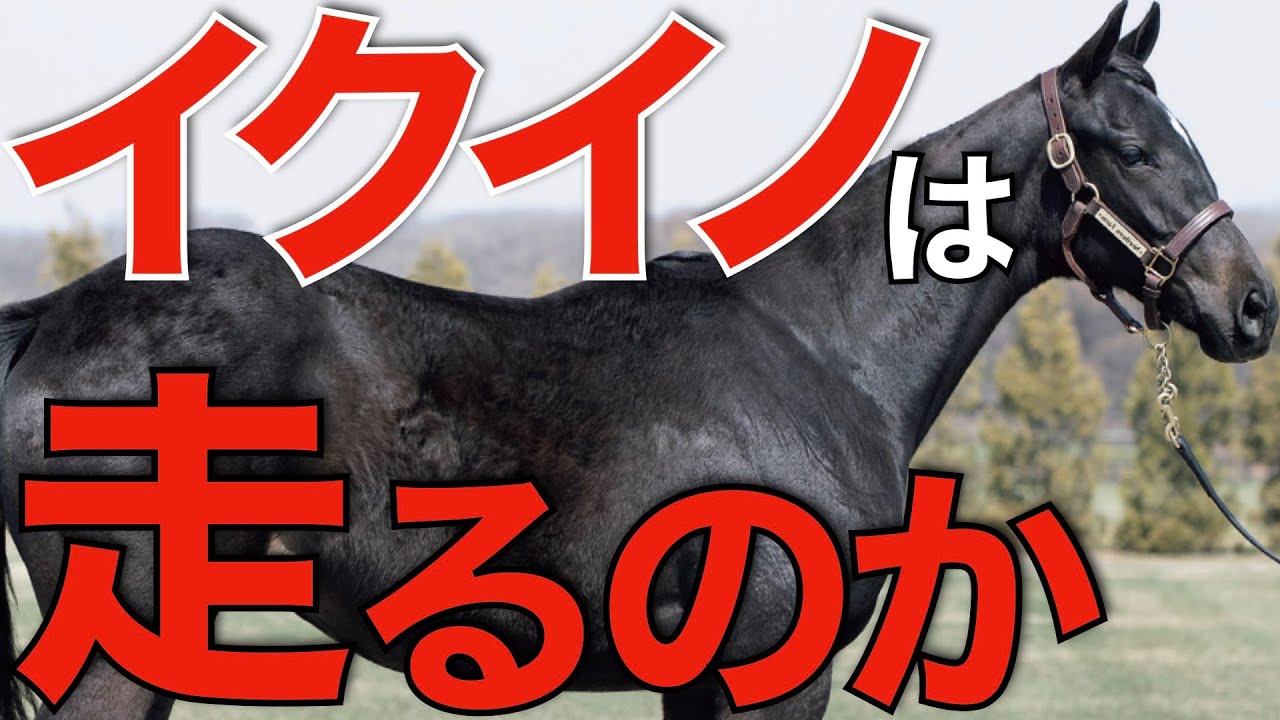 【3冠視野】まさかのイクイノックス現役続行もあるのか！？有馬記念勝てば30億円超え。