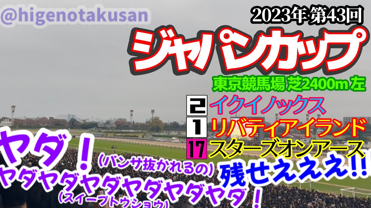 【狂喜乱舞】ジャパンカップ2023現地 枠入り〜決着【特盛全部乗せ】