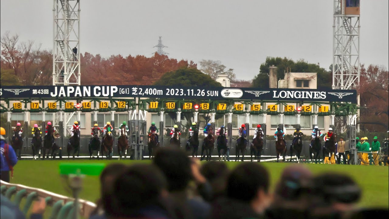 2023/11/26 第43回 ジャパンカップ 現地最前列