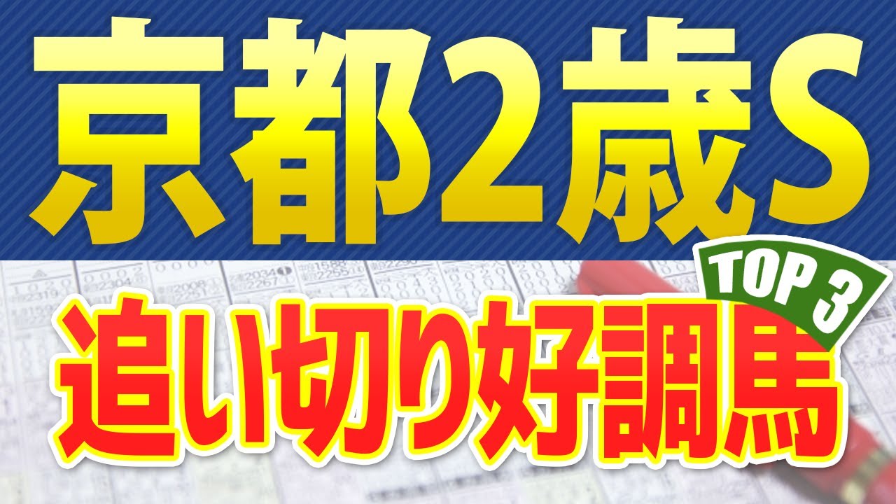 京都2歳ステークス（2023）追い切り・調教が好調だった「トップ3」はこの馬だ🐴 ～JRAラジオ日経杯京都2歳Sの競馬予想～