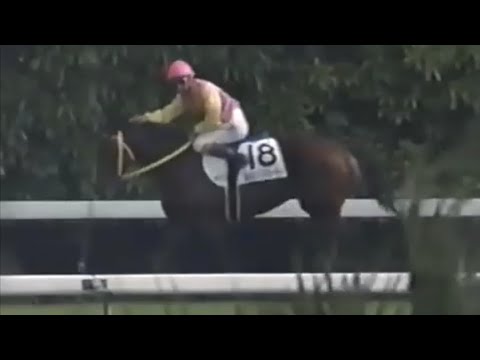 スーパー競馬 1997年 日本ダービー 東京優駿 サニーブライアン