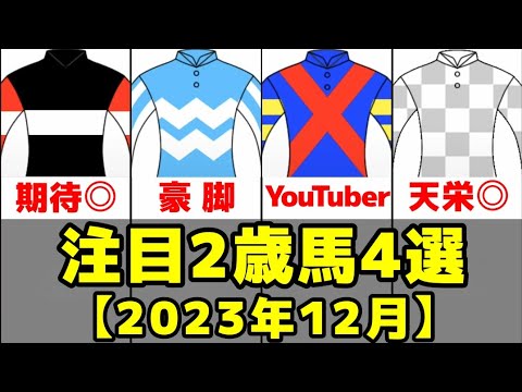【2023年】12月新馬デビュー予定の注目2歳馬3選+α【ホークレア/ワンダホー/コンテソレーラ】