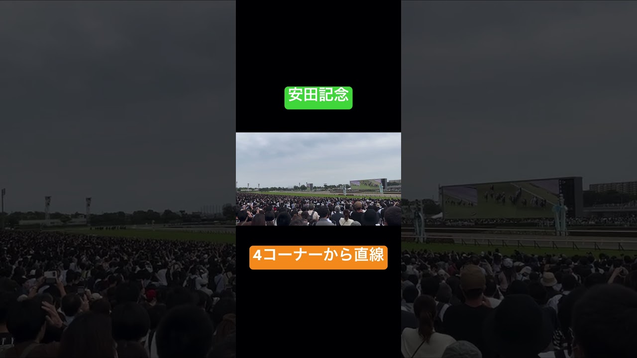 【現地】2023 安田記念　4コーナーから直線