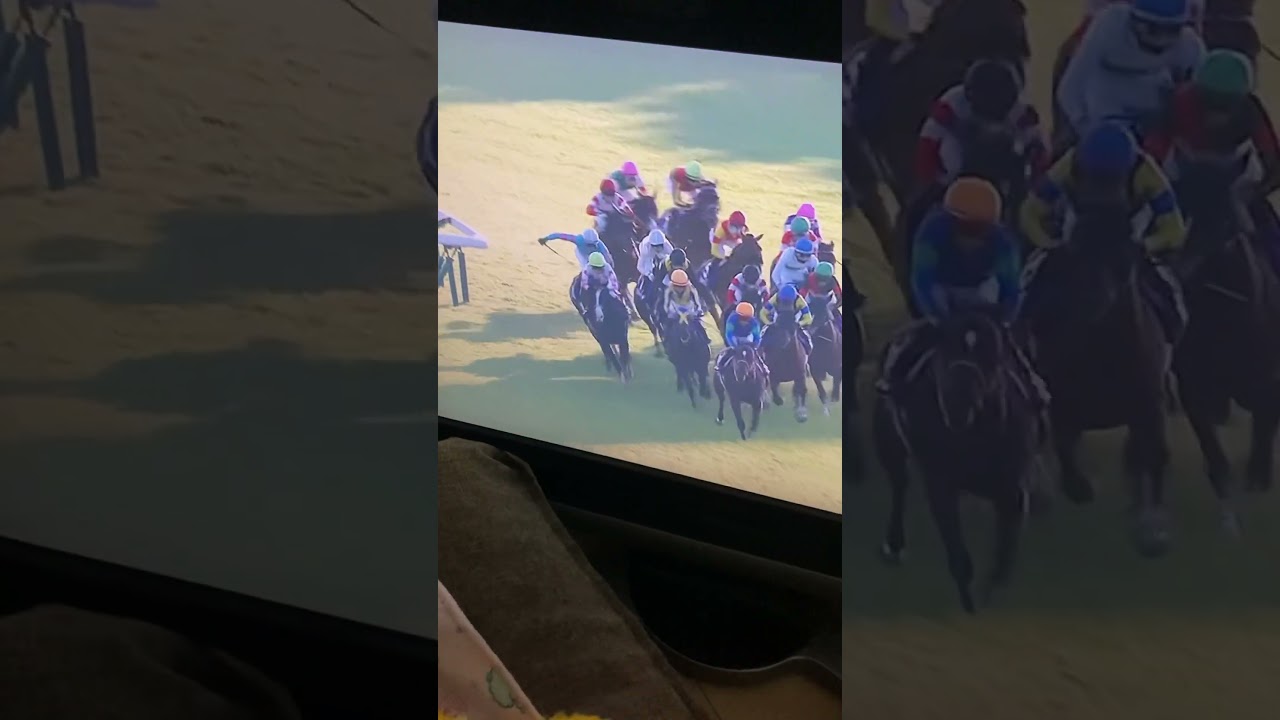 G Ⅰ マイルチャンピオンシップ 16 ナミュール  16-1-5