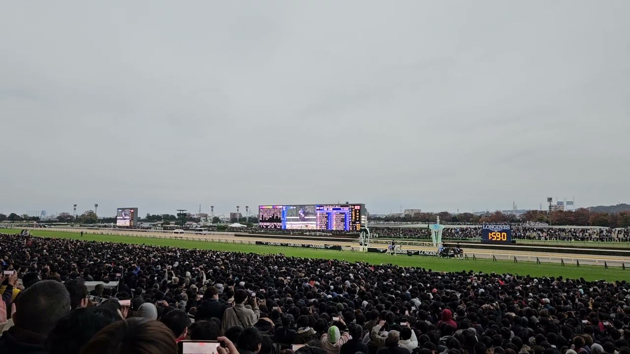 第43回ジャパンカップ本馬場入場