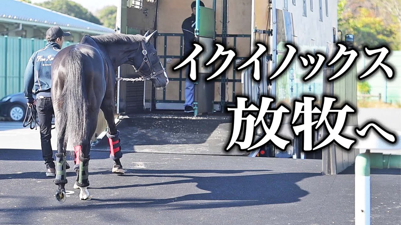 イクイノックス、放牧へ！　馬運車に乗り込むスターホースの一部始終をお届けします《東スポ競馬ニュース》
