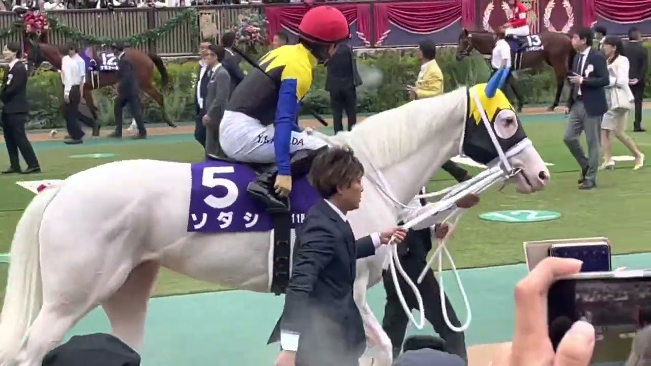 【安田記念2023】ソダシ川田騎手絶好のタイミング♡パドック映像東京競馬場
