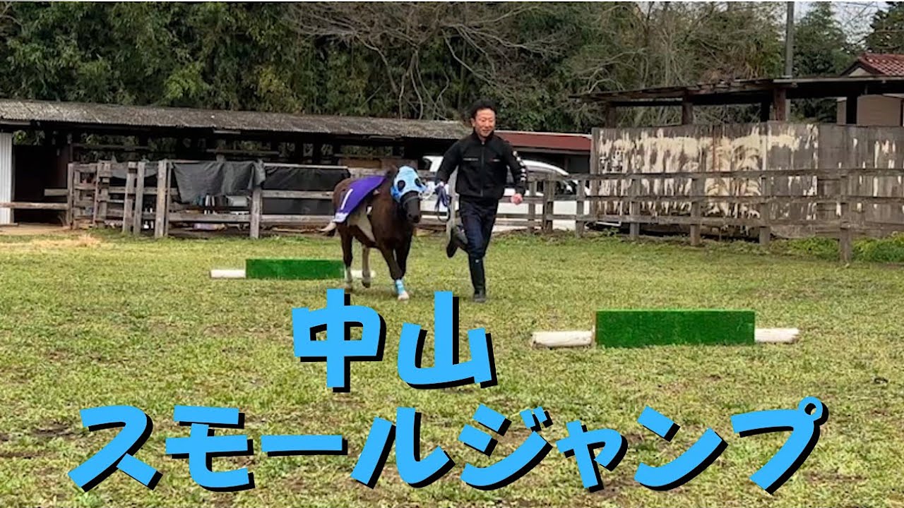 祝㊗️家ついてっていいですか？二回目出演オーナーはオジュウチョウさんが好きすぎて愛馬ポニーのエピをコジュウチョウさんとしてデビューさせる　そこに現役騎手や実況まで参加しさながら中山大障害もとい中山スモ