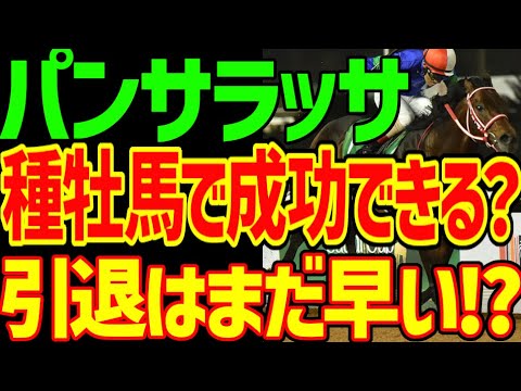 パンサラッサが種牡馬としてどうなるか？広尾サラブレッド倶楽部的な事情からどのような形態で種牡馬をやるのか考察と競馬ファン、一口馬主としてパンサラッサの引退に物申す動画【競馬ゆっくり】【私の競馬論】