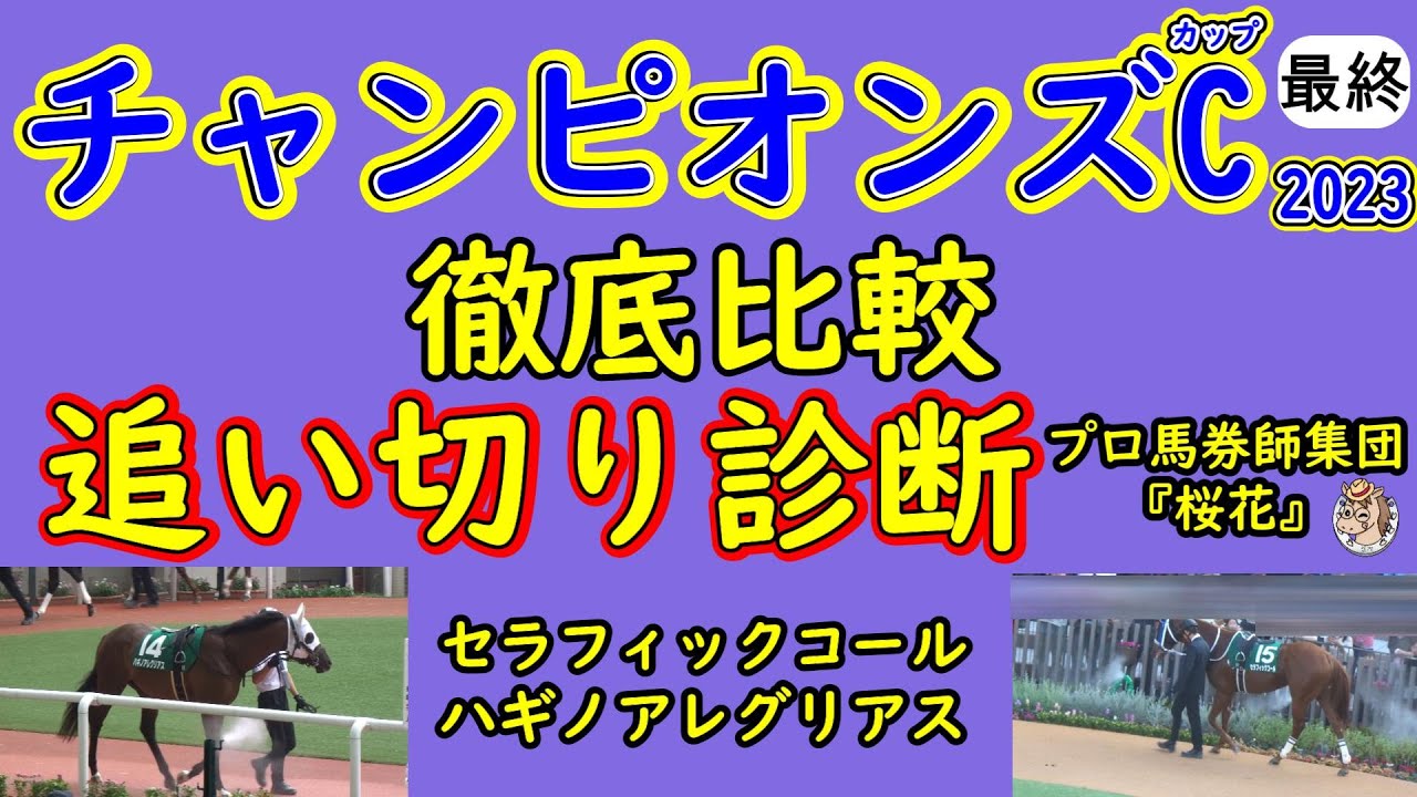 チャンピオンズカップ2023上位人気馬2頭の徹底比較した追い切り診断！人気のセラフィックコールとハギノアレグリアスを前走時と今回を徹底比較しての上昇度はあるのか？