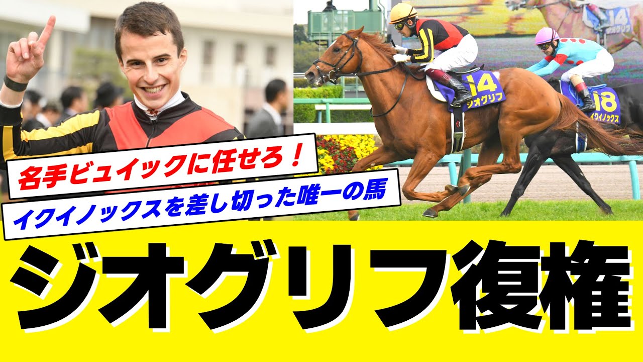 【チャンピオンズC2023】皐月賞馬ジオグリフ復権か！？僚馬イクイノックスの快進撃に続け！名手ビュイック騎手とのコンビ復活も期待！ジャパンカップ後の冬競馬は外国人騎手が無双する！
