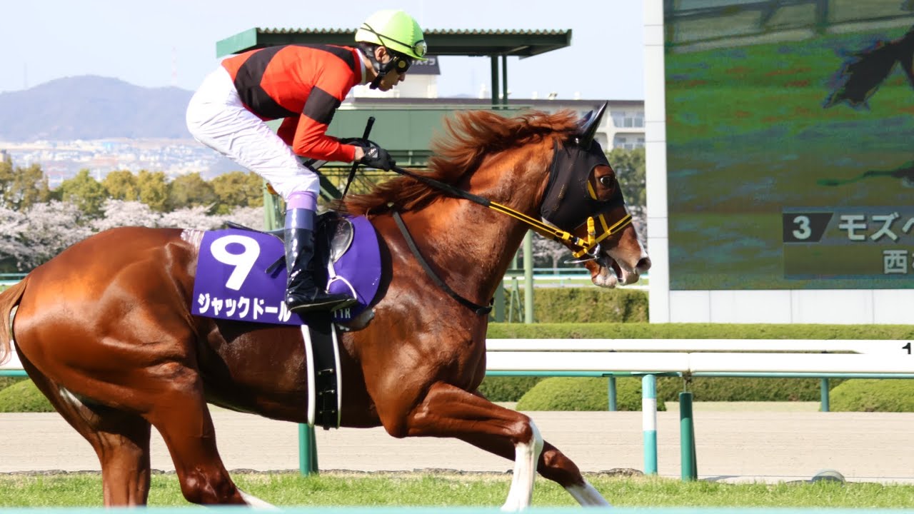 2023/4/2 大阪杯 本馬場入場 現地
