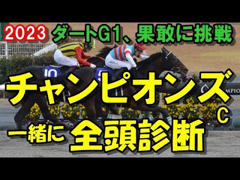 【チャンピオンズカップ2023】　いまむらの全頭診断　ダート戦苦手っすわ