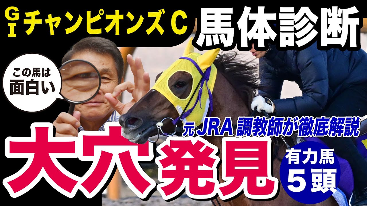 【チャンピオンズC2023】中村均元調教師が馬体診断　有力馬５頭を徹底解説プラスどうしても紹介したい大穴馬《東スポ競馬ニュース》