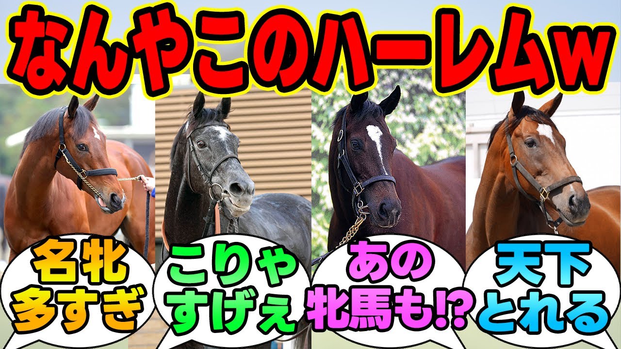 『キタサンブラックの今年種付けした牝馬がヤバすぎる件ｗｗｗ』に対する競馬民の反応集