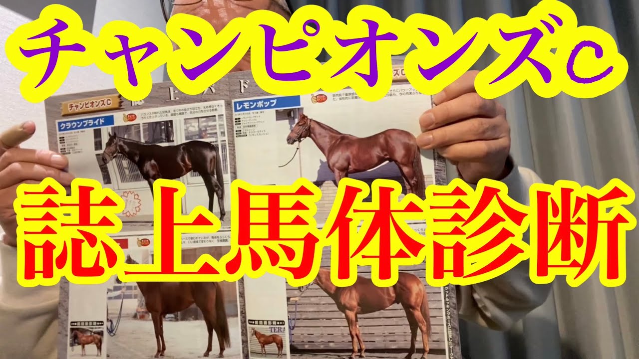 【誌上馬体診断】第24回チャンピオンズC‼︎面白いメンバーが揃いましたねー！