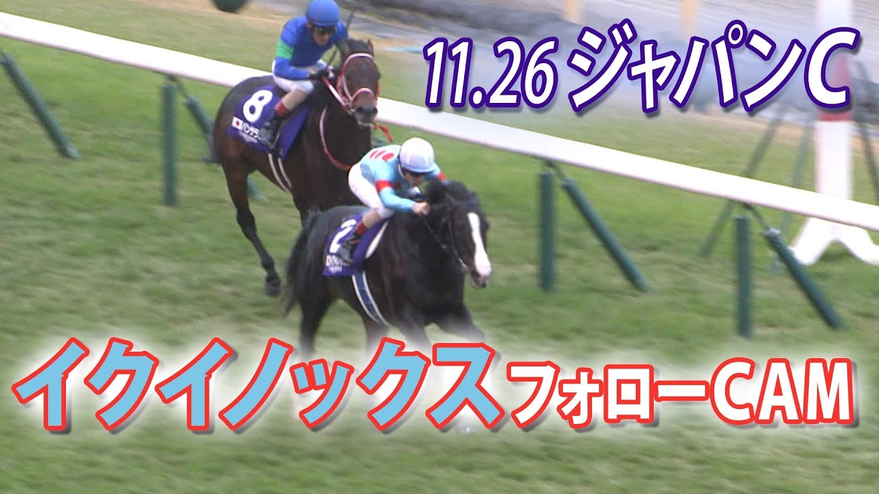 【11.26ジャパンカップ】イクイノックス フォローCAM