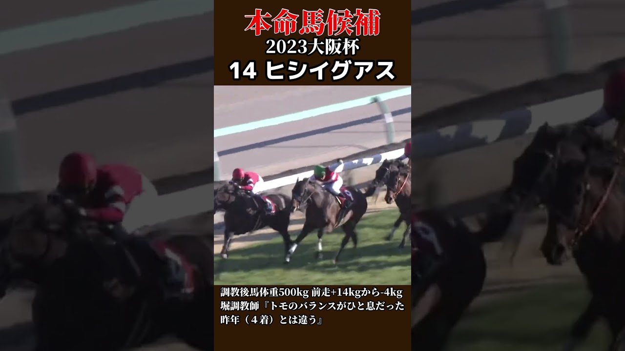 【might be a HERO 勝負の本命候補】2023 大阪杯 ヒシイグアス #競馬 #g1 #重賞