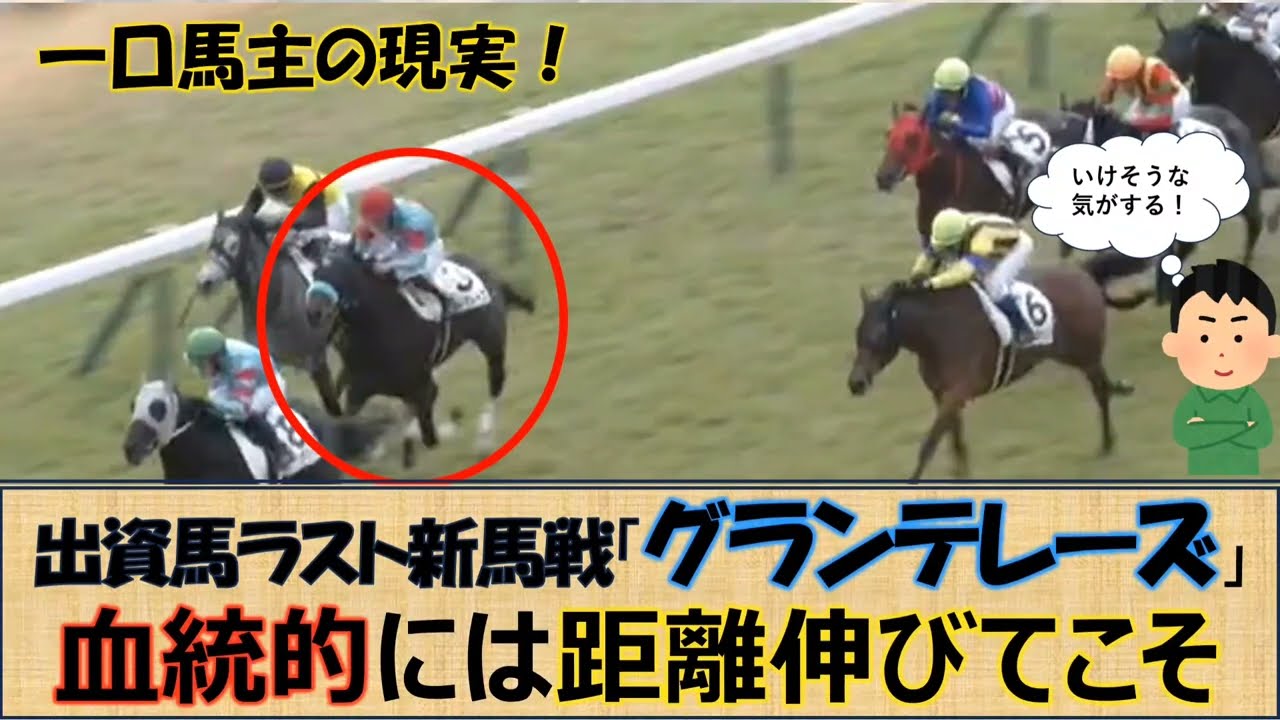 【一口馬主の現実】直線入り口までは完璧だったのに・・出資馬ラスト新馬戦！