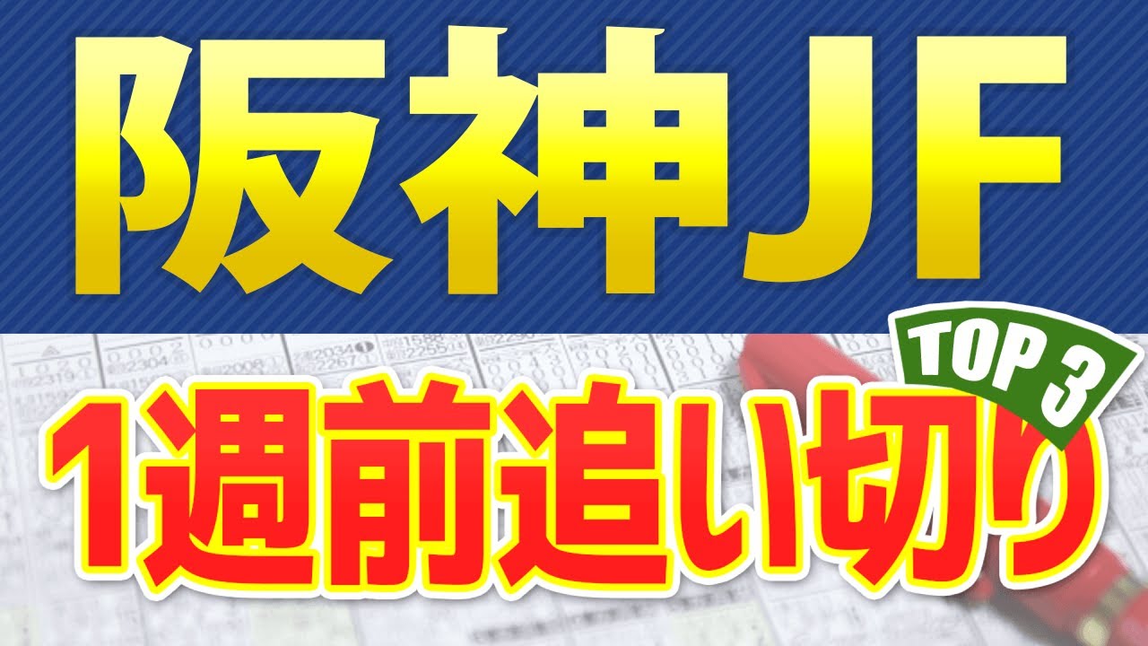 【阪神ジュベナイルフィリーズ2023】一週前追い切りや馬体診断が高評価だった3頭をシミュレーション🐴 ～JRA農林水産省賞典阪神JF(g1)競馬予想～